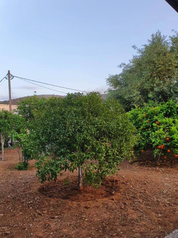 Chania Casa Portokali Perivólia Esterno foto